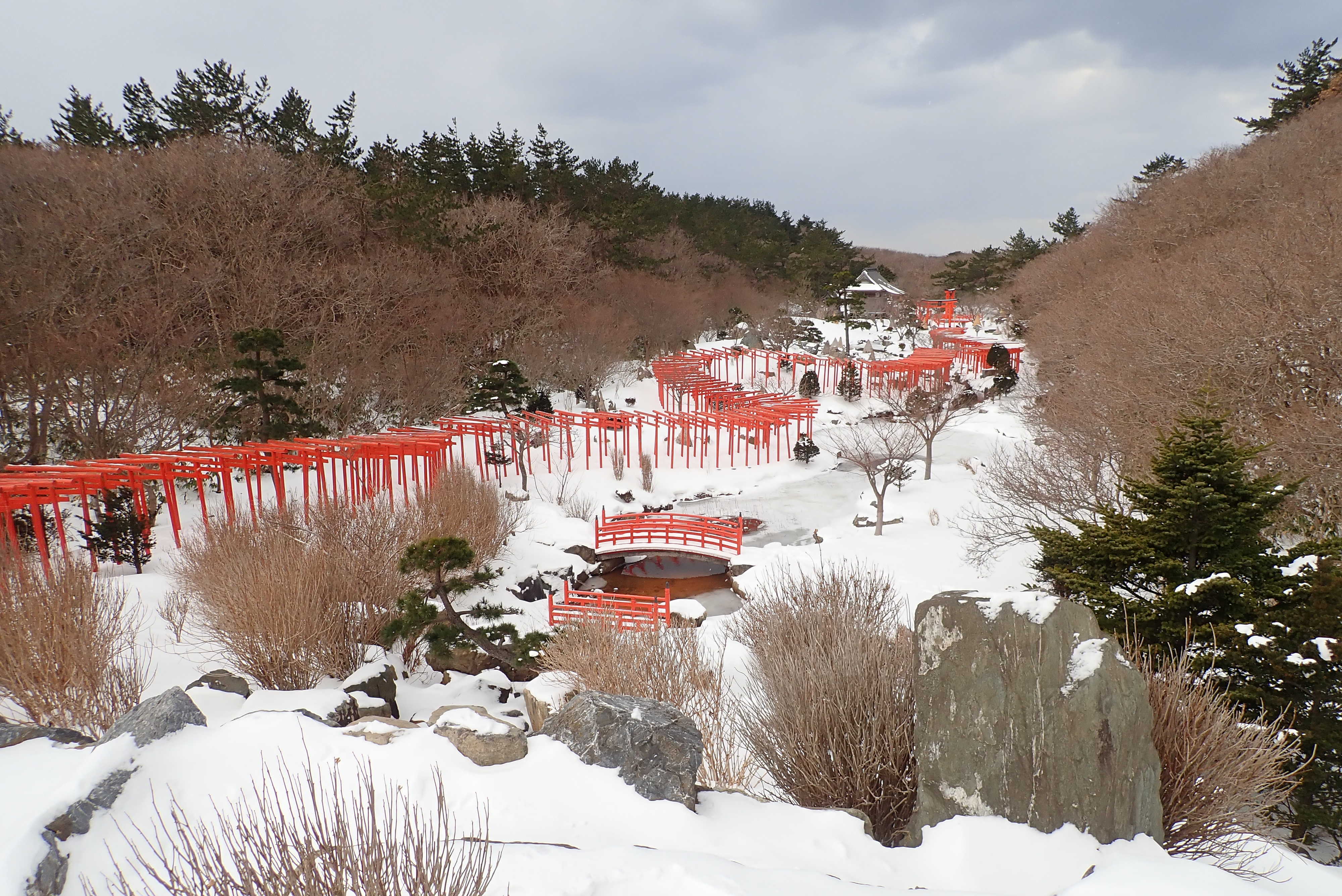 雪化粧した高山稲荷神社の千本鳥居