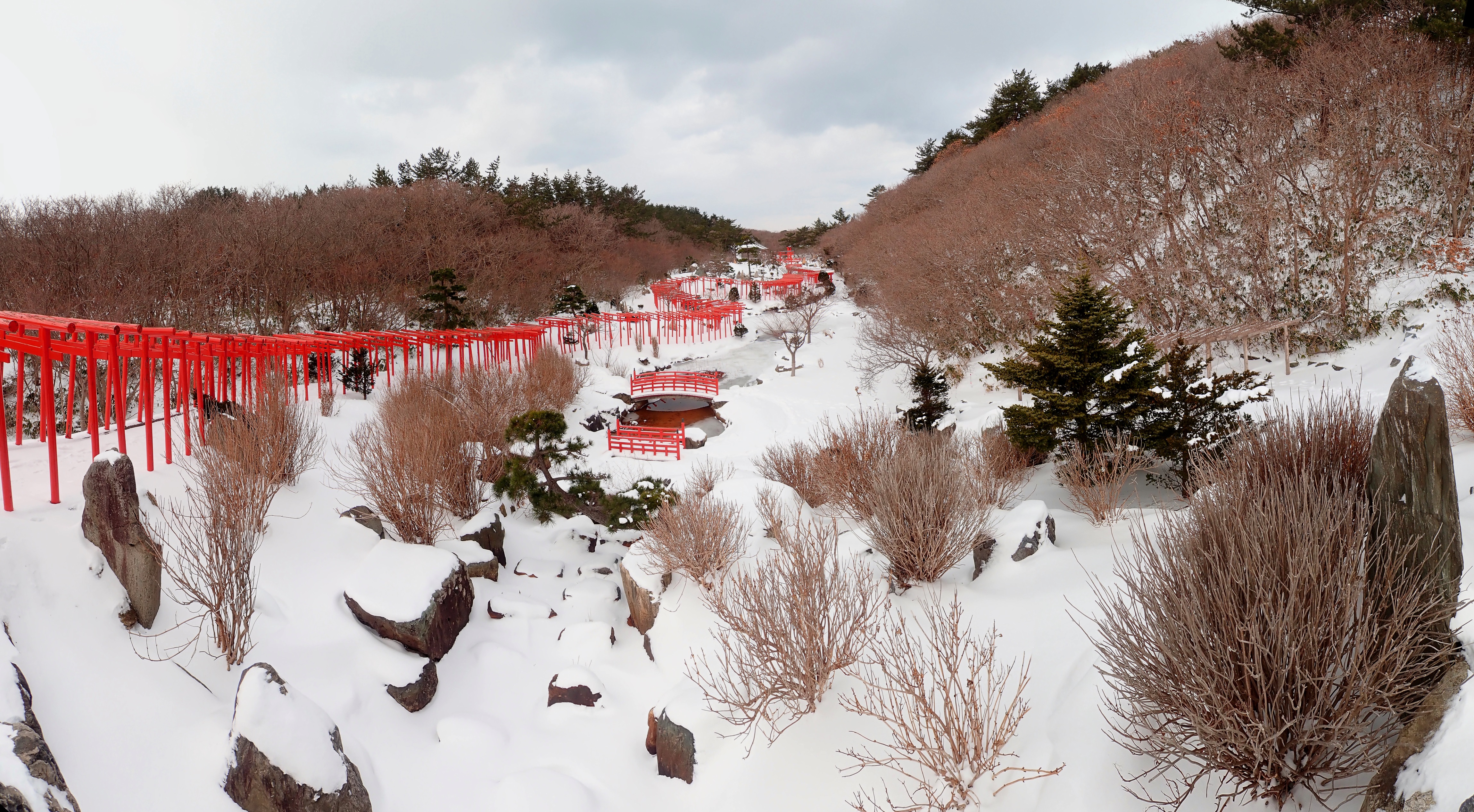 雪景色に続く高山稲荷神社の千本鳥居のパノラマ