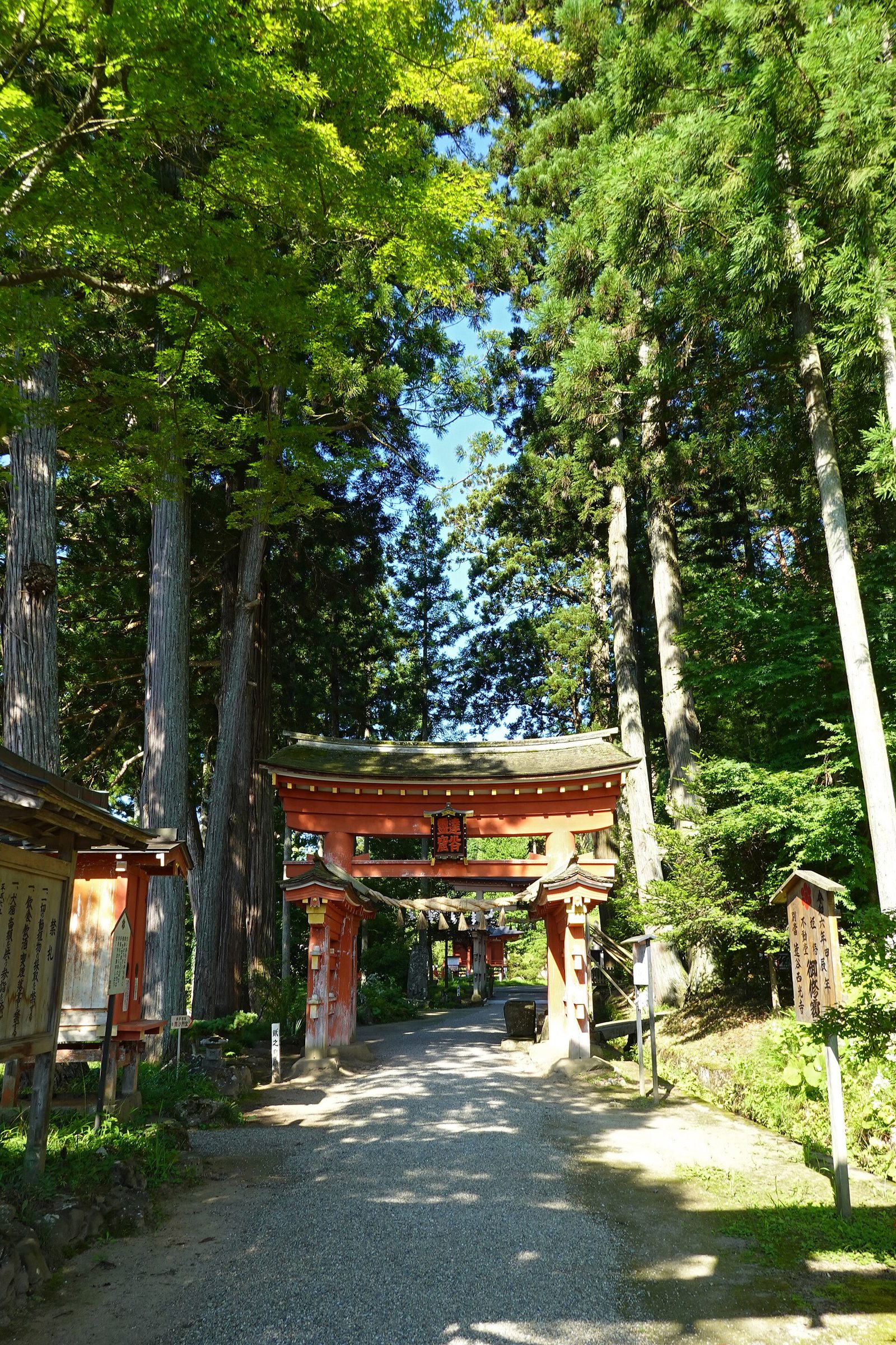 杉の木立に包まれた達谷窟毘沙門堂の参道