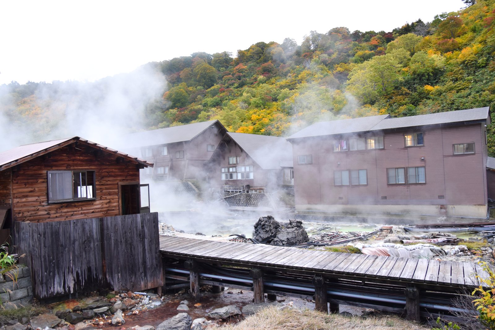 紅葉の山を背に湯けむりが立ち上る玉川温泉の湯治棟の建物群