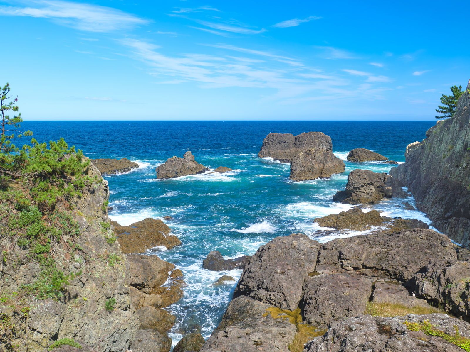 みちのく潮風トレイル種差海岸遊歩道からの景色