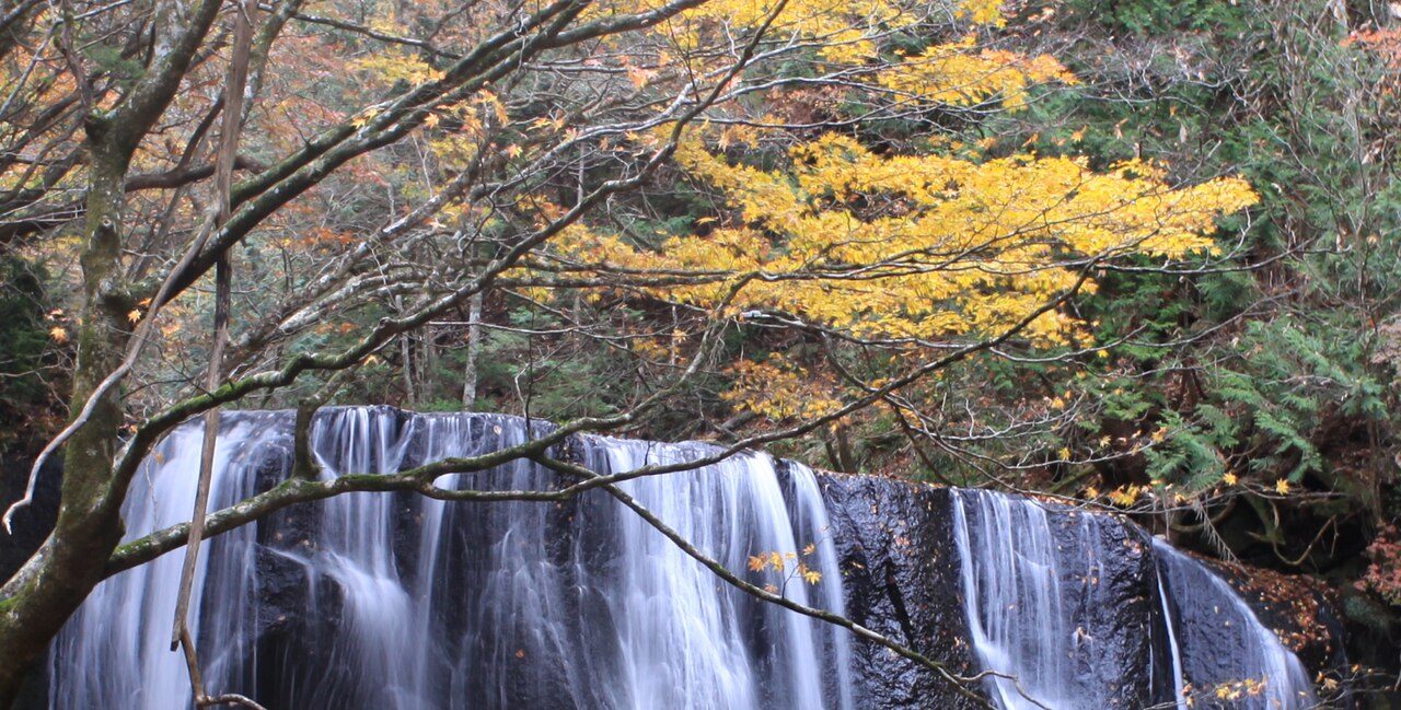 紅葉に彩られた達沢不動滝のクローズアップ