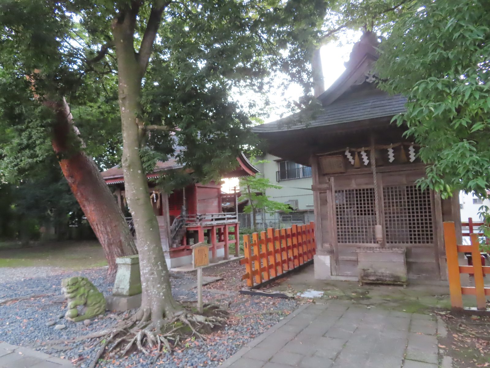 津島神社の境内社とご神木に包まれた一角