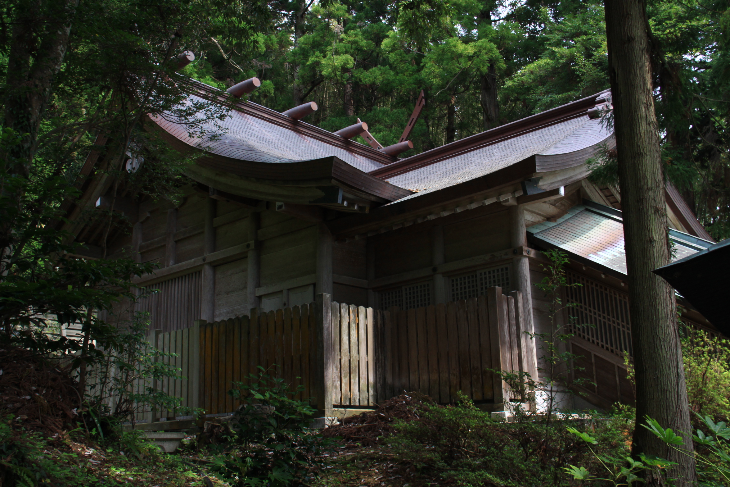 度津神社の本殿