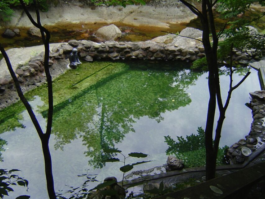薬研温泉の緑がかった露天の湯