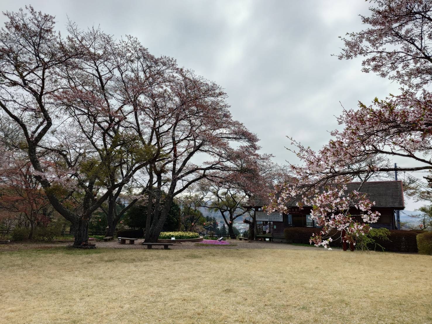 棚倉駅前交差点から古町の松本酒店前までの大通りの様子