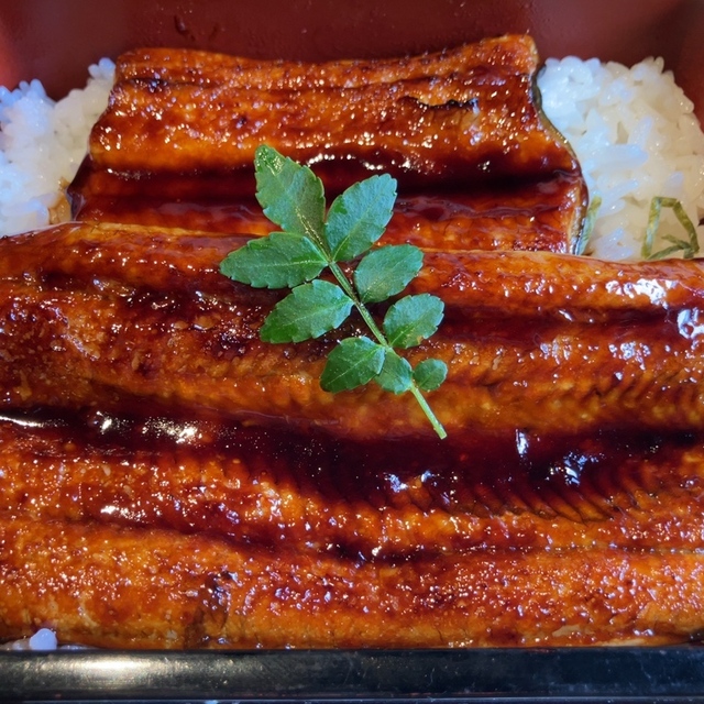 四季旬菜Kin一の料理