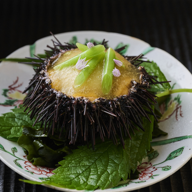 陽の料理