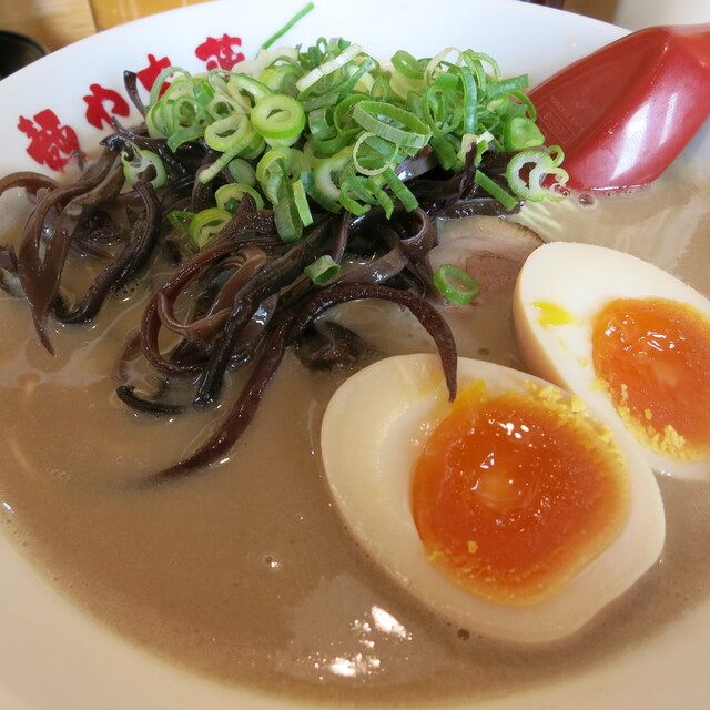 麺や木蓮の料理