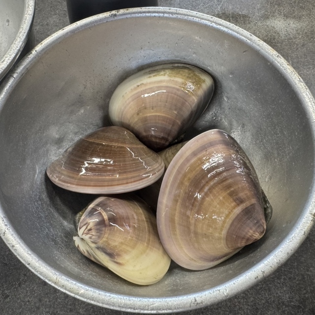 焼蛤 浜茶屋 向島の料理