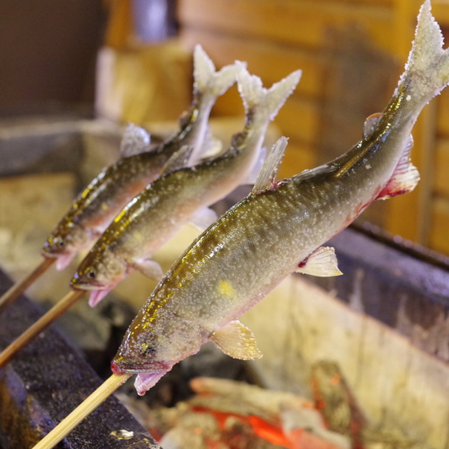 杉ケ瀬ヤナの料理