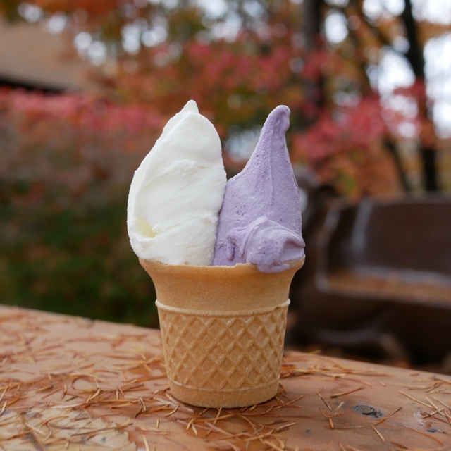 松ぼっくりの料理