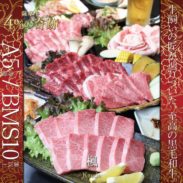 A5黒毛和牛×完全個室 龍乃華の料理