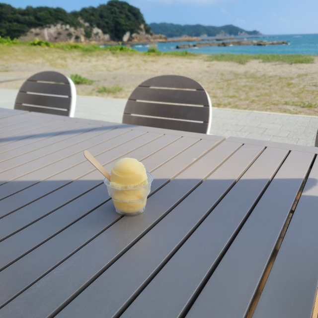 高知県立 足摺海洋館 サトウミの料理