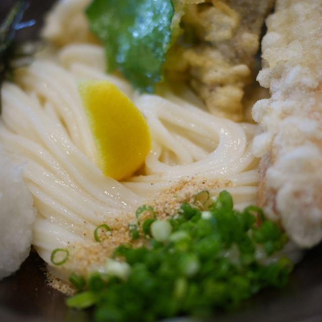 本格手打うどん 大河の料理