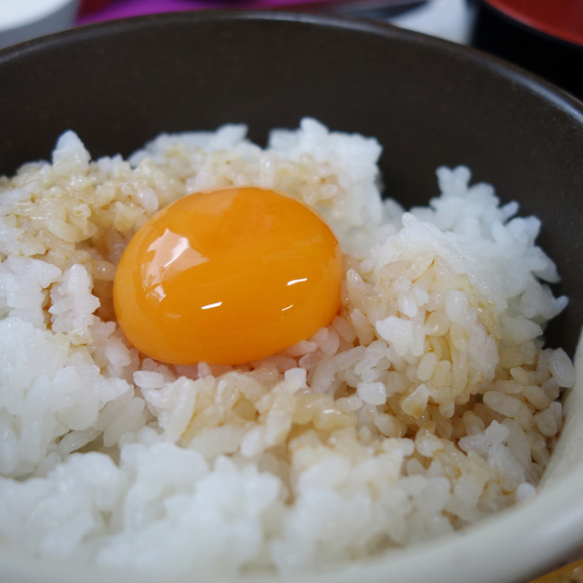 食堂かめっち。の料理
