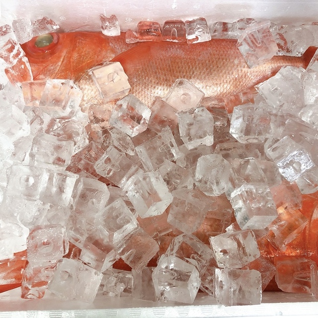 寿し光の料理