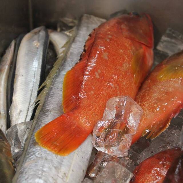 ときわ寿司の料理