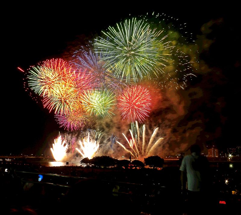 第48回足立の花火の花火