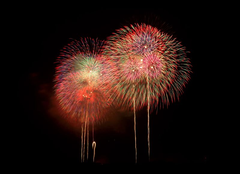 長岡まつり大花火大会の花火