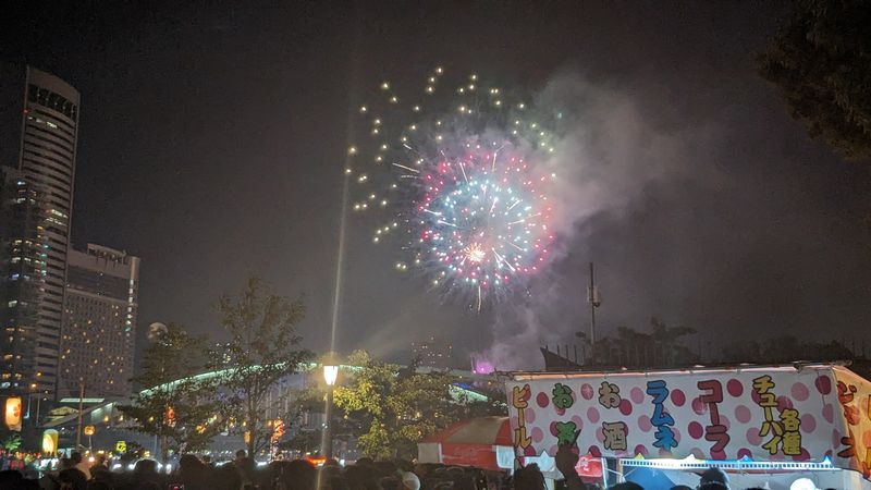 天神祭奉納花火の花火