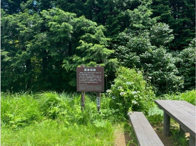箱根湯坂路ハイキングコース、鷹巣城跡の案内板と緑