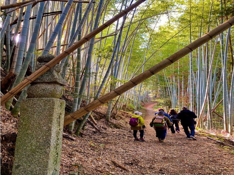 弘法大師も歩いた歴史の道、世界遺産町石道ウォーク
