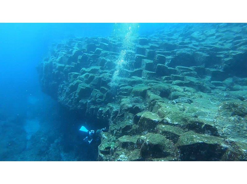 三宅島での体験ダイビングの様子