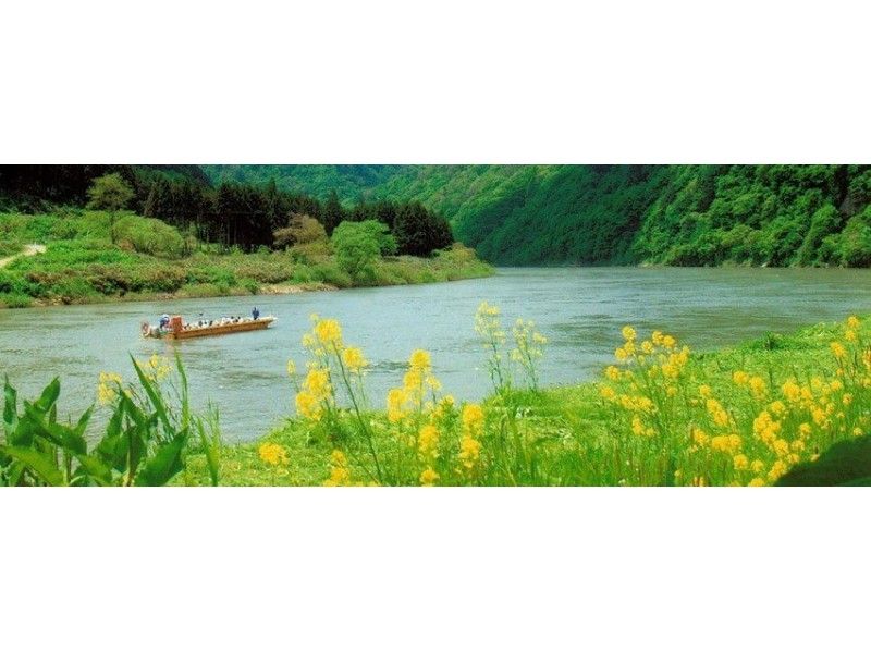 最上峡を進む最上川舟下りの遊覧船と菜の花