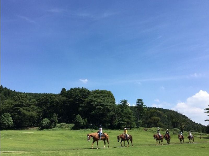 霧島山の高原を進む乗馬体験の様子