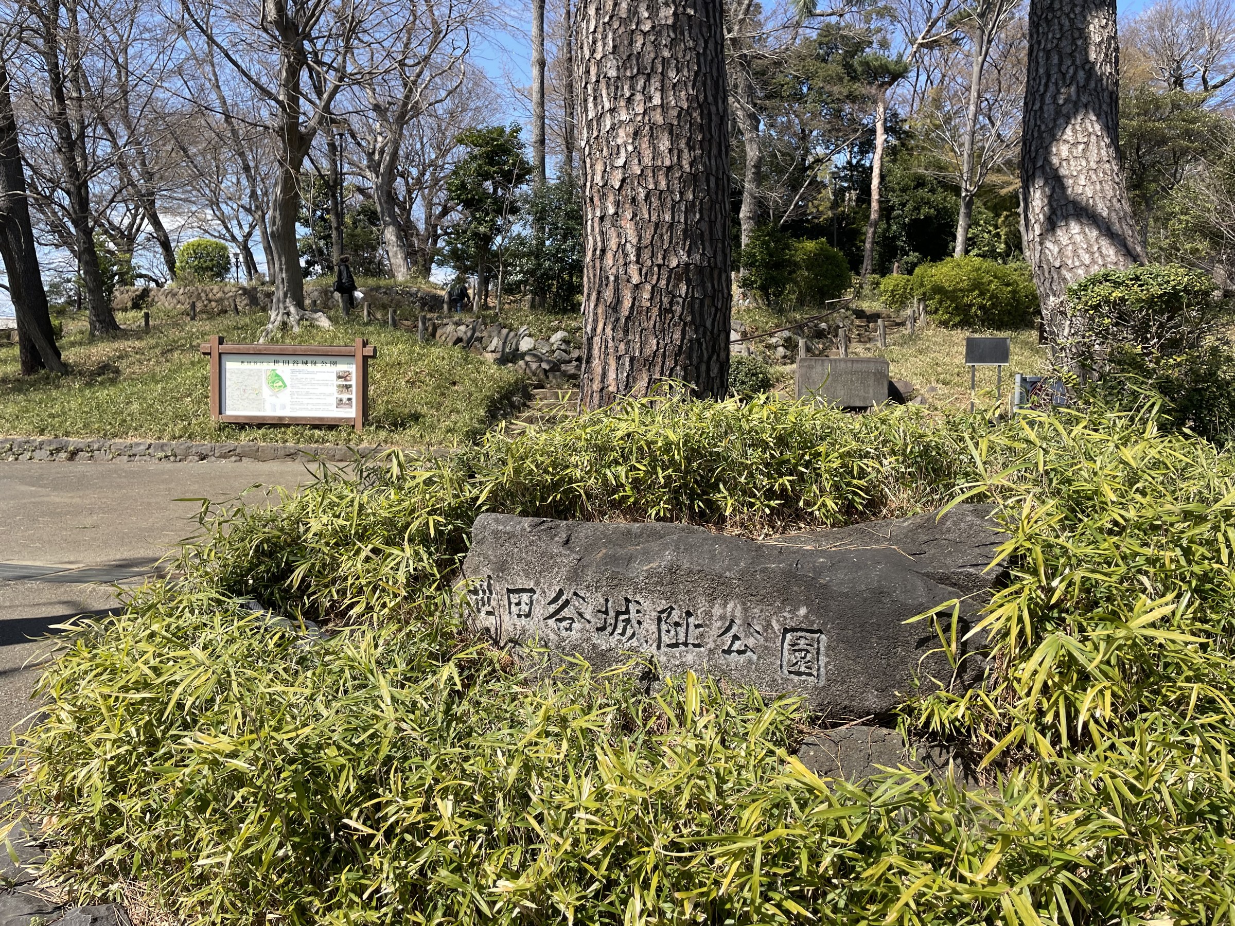 世田谷城址公園の石碑と木立