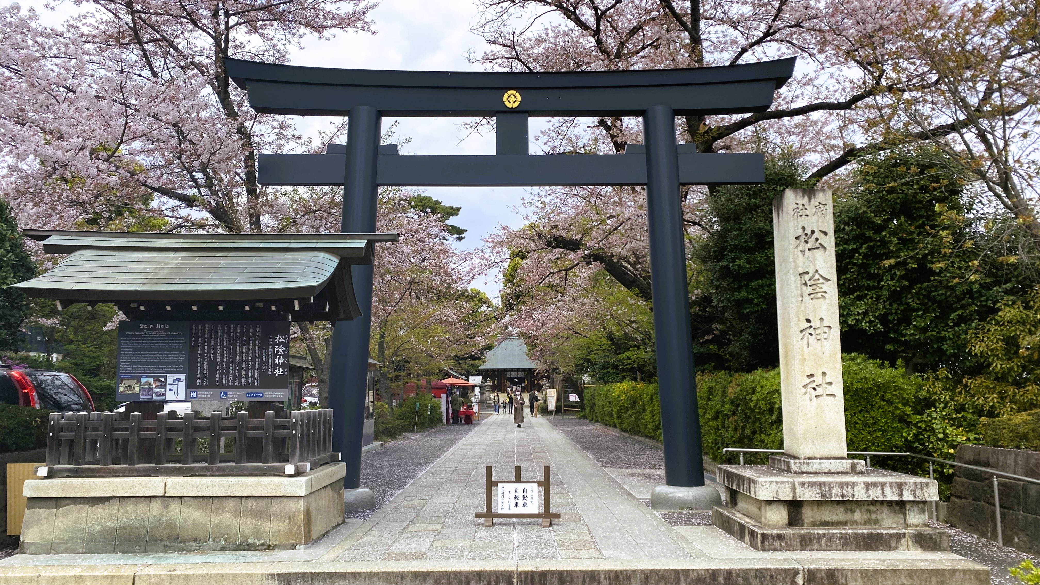 松陰神社の鳥居と桜並木