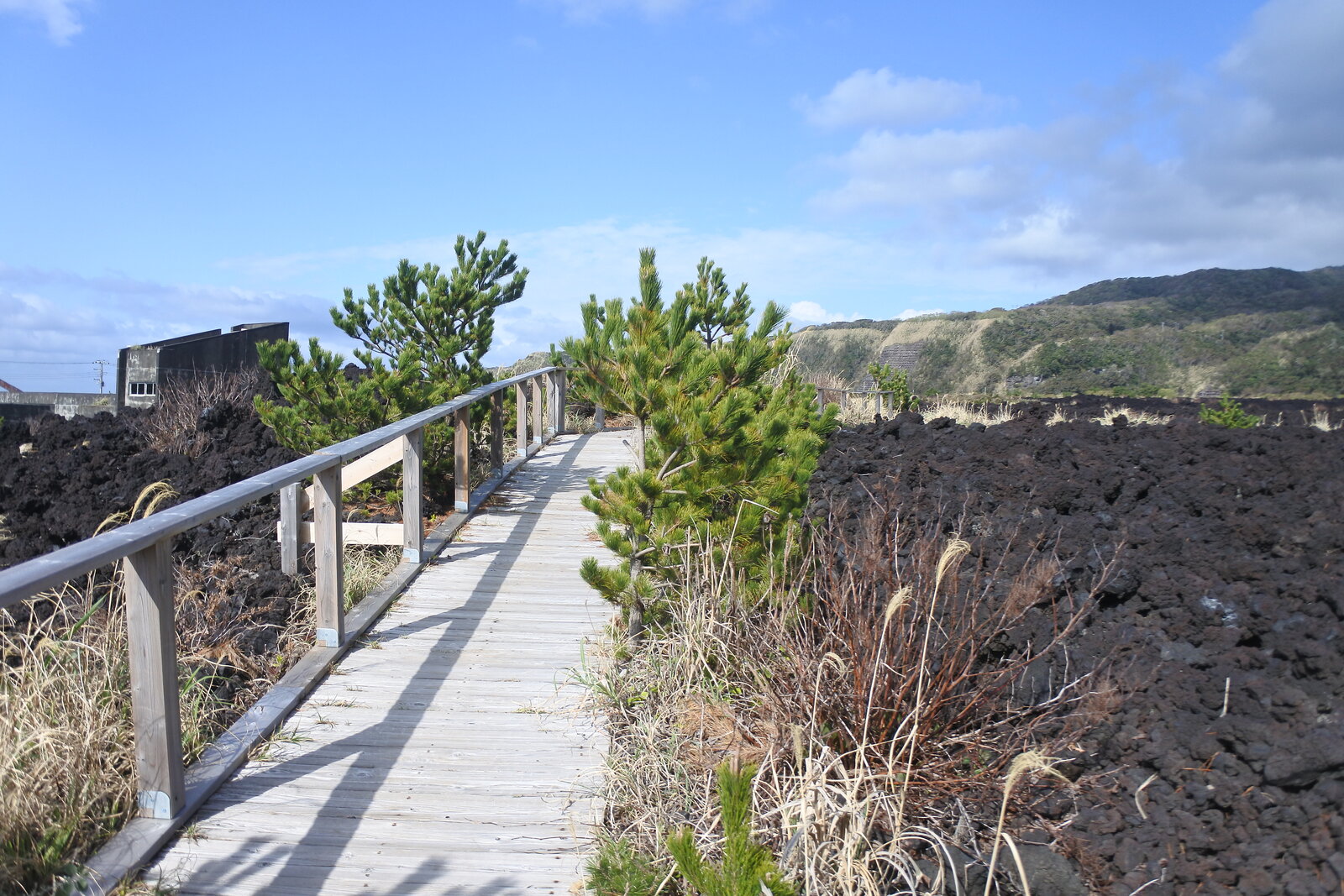 三宅島阿古地区の火山体験遊歩道