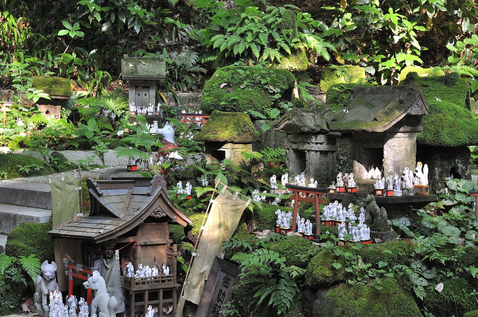 苔むした佐助稲荷神社の境内に並ぶ白狐の像