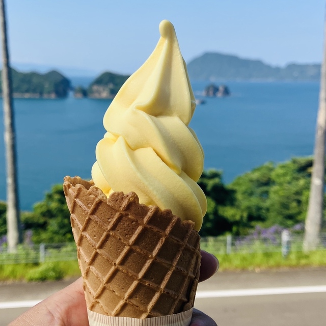 道の駅なんごうのマンゴーソフトクリーム