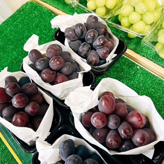 河口湖自然生活館のカフェのイメージ