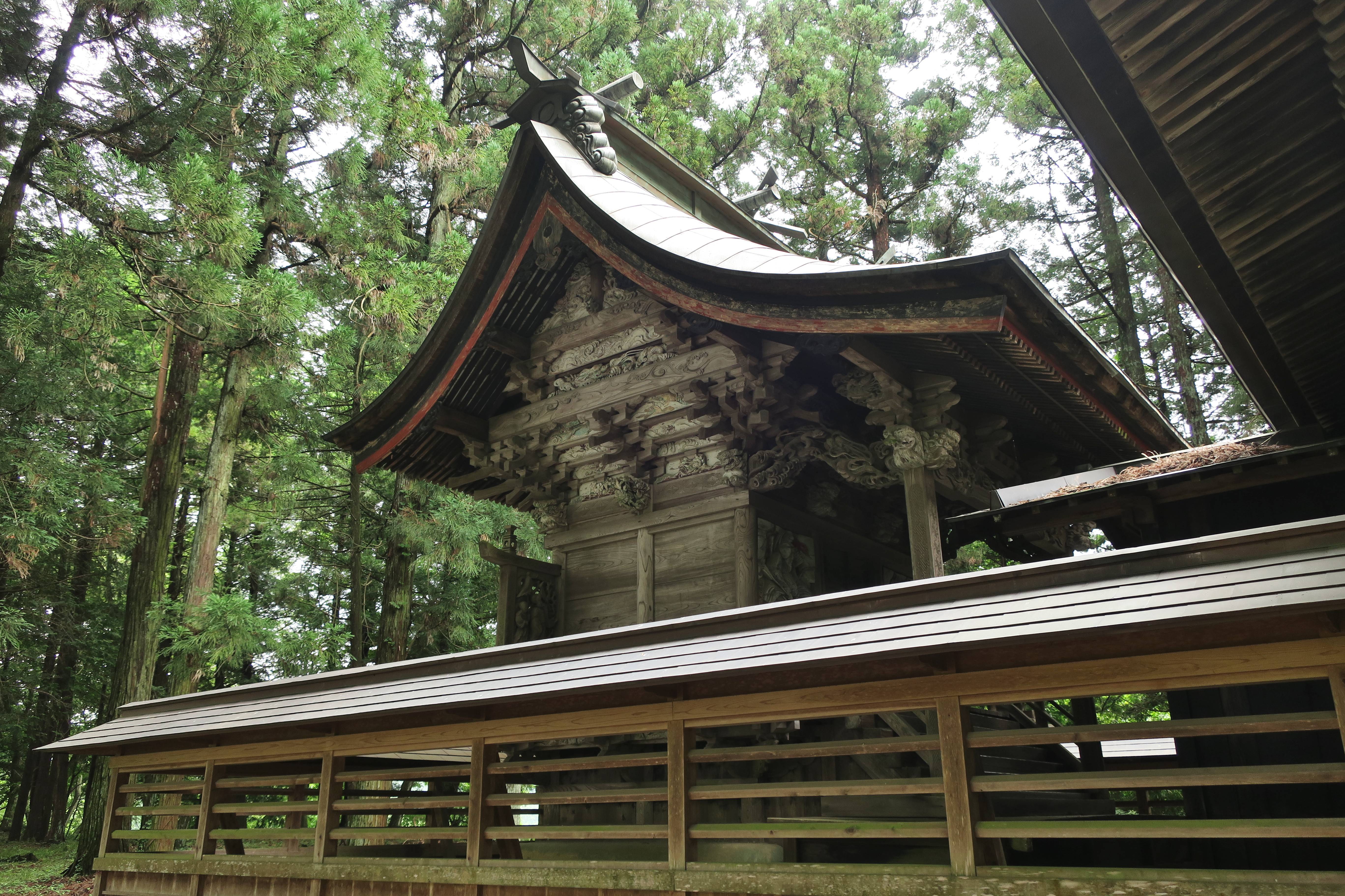 吾妻神社本殿、杉木立に囲まれた社殿