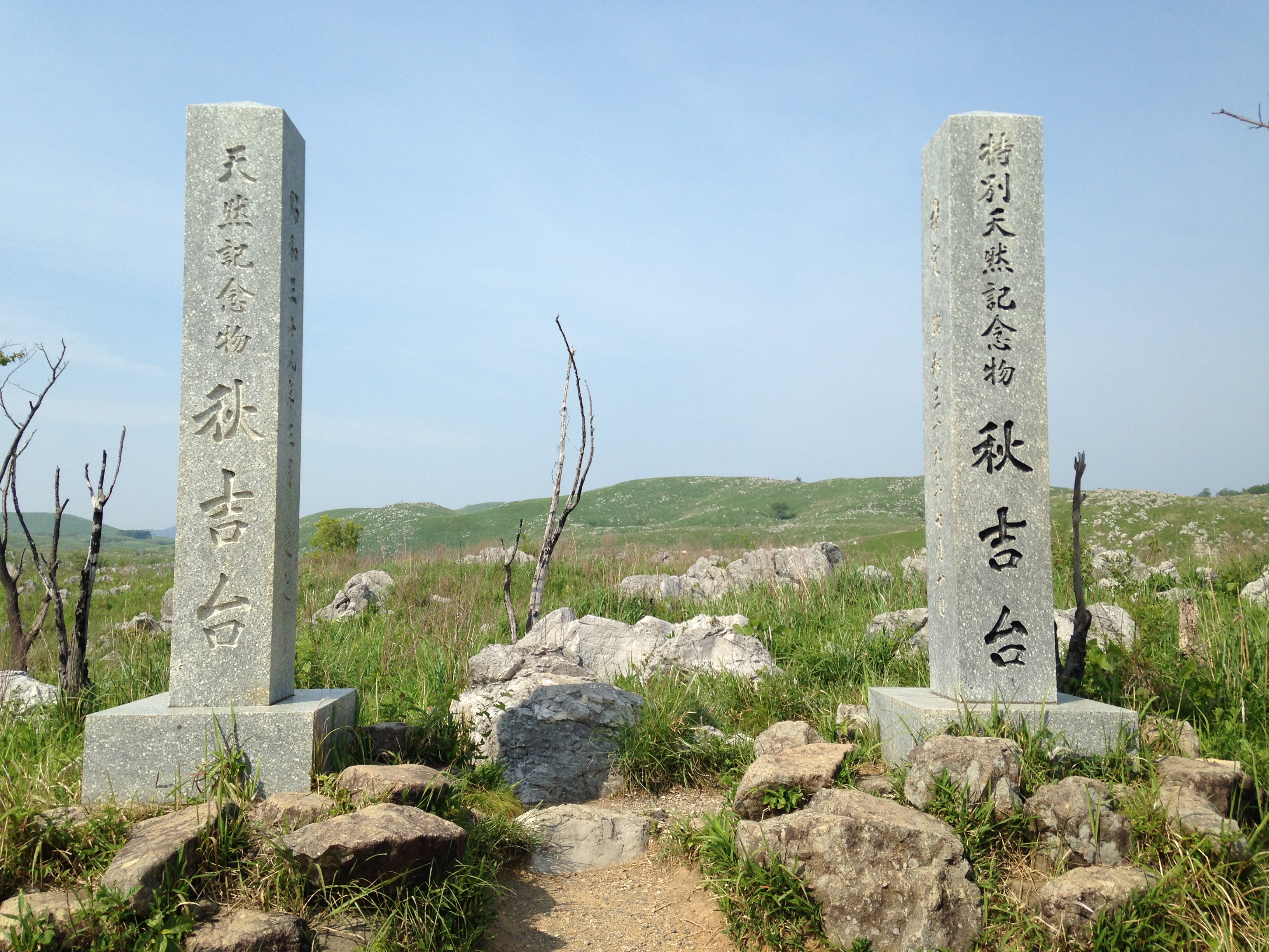 秋吉台の特別天然記念物の石碑と石灰岩の草原