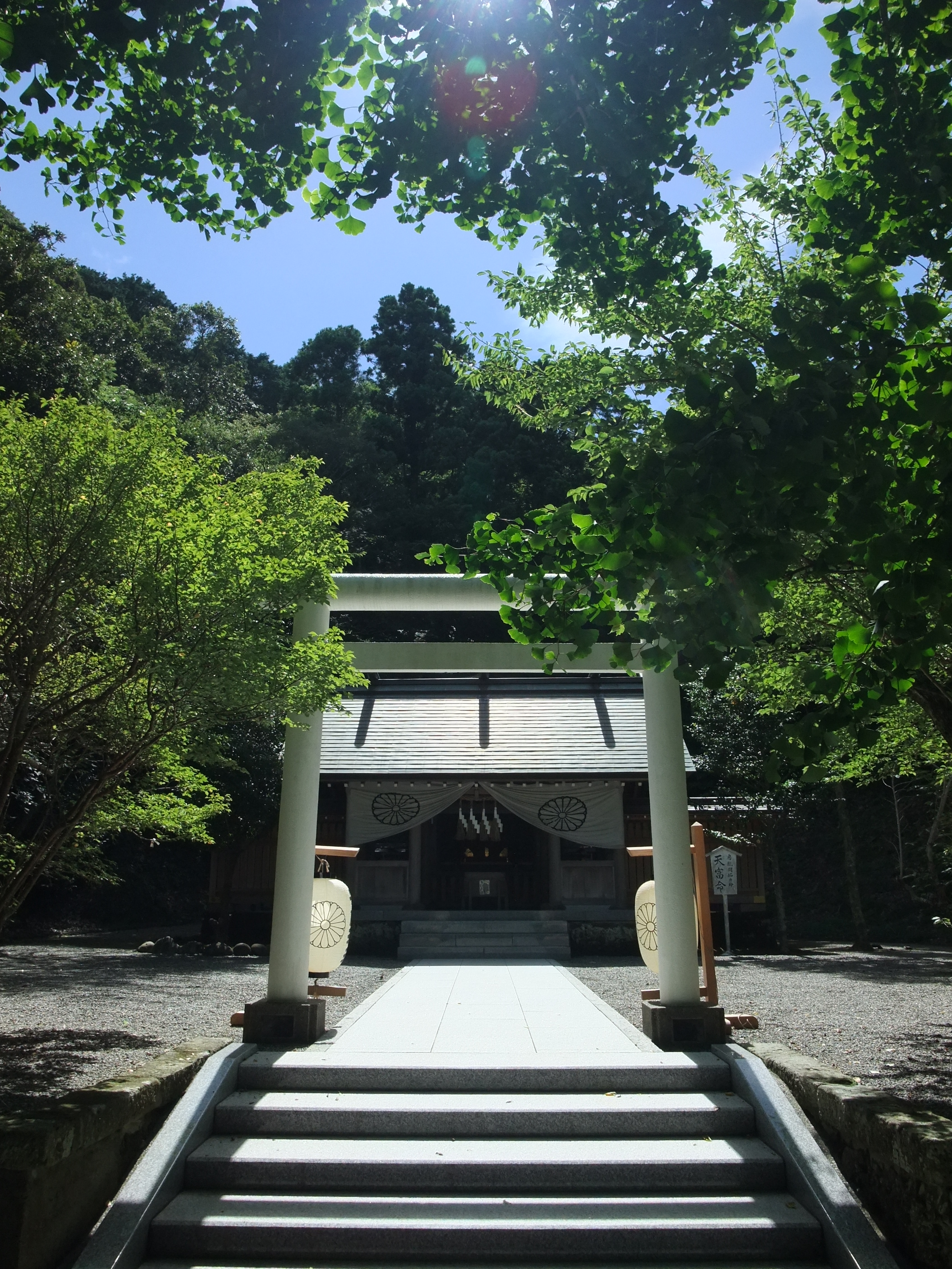 安房神社下の宮の鳥居と社殿
