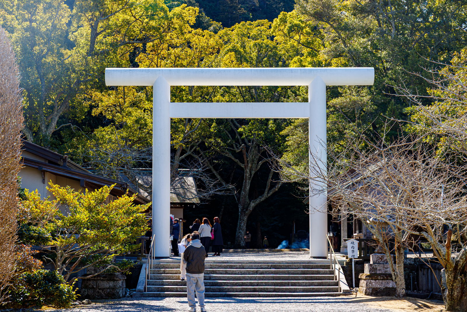 安房神社境内入口の大鳥居