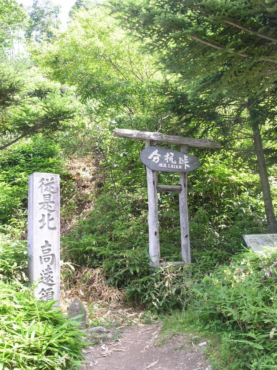 伊那谷を見晴らす分杭峠の風景