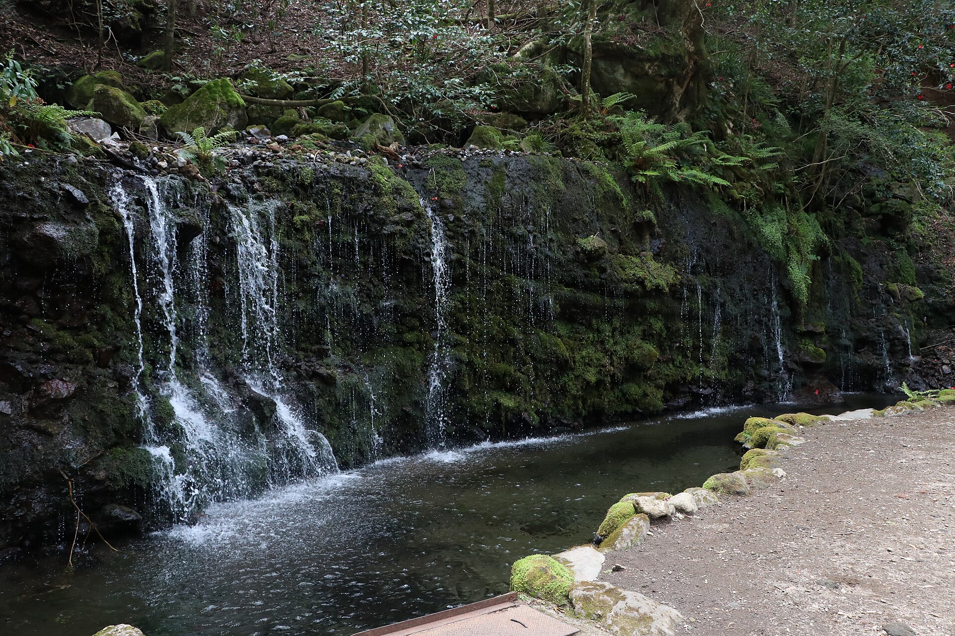 箱根小涌谷、千条の滝の全景と苔むした岩肌