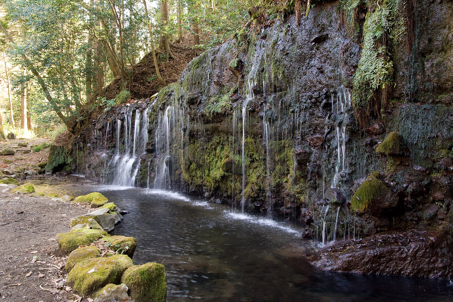 緑に包まれた千条の滝と苔むした川岸の岩