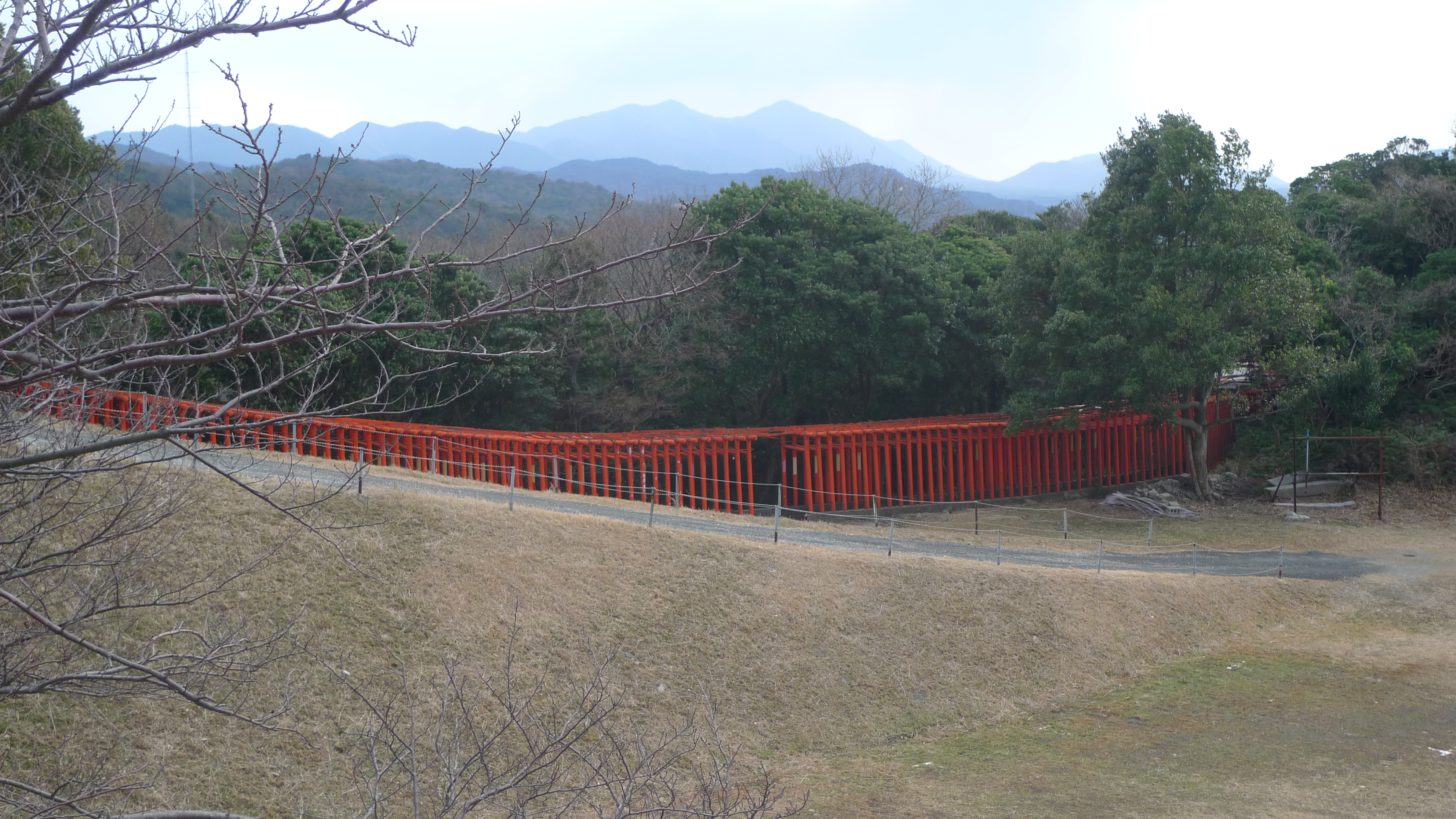 福徳稲荷神社の千本鳥居を高台から望む