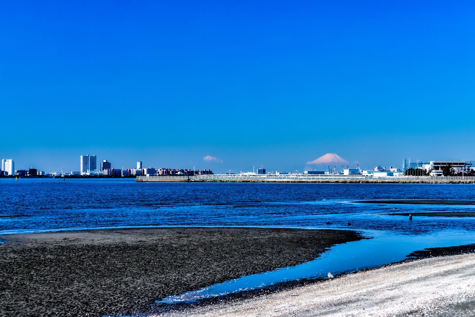 ふなばし三番瀬海浜公園