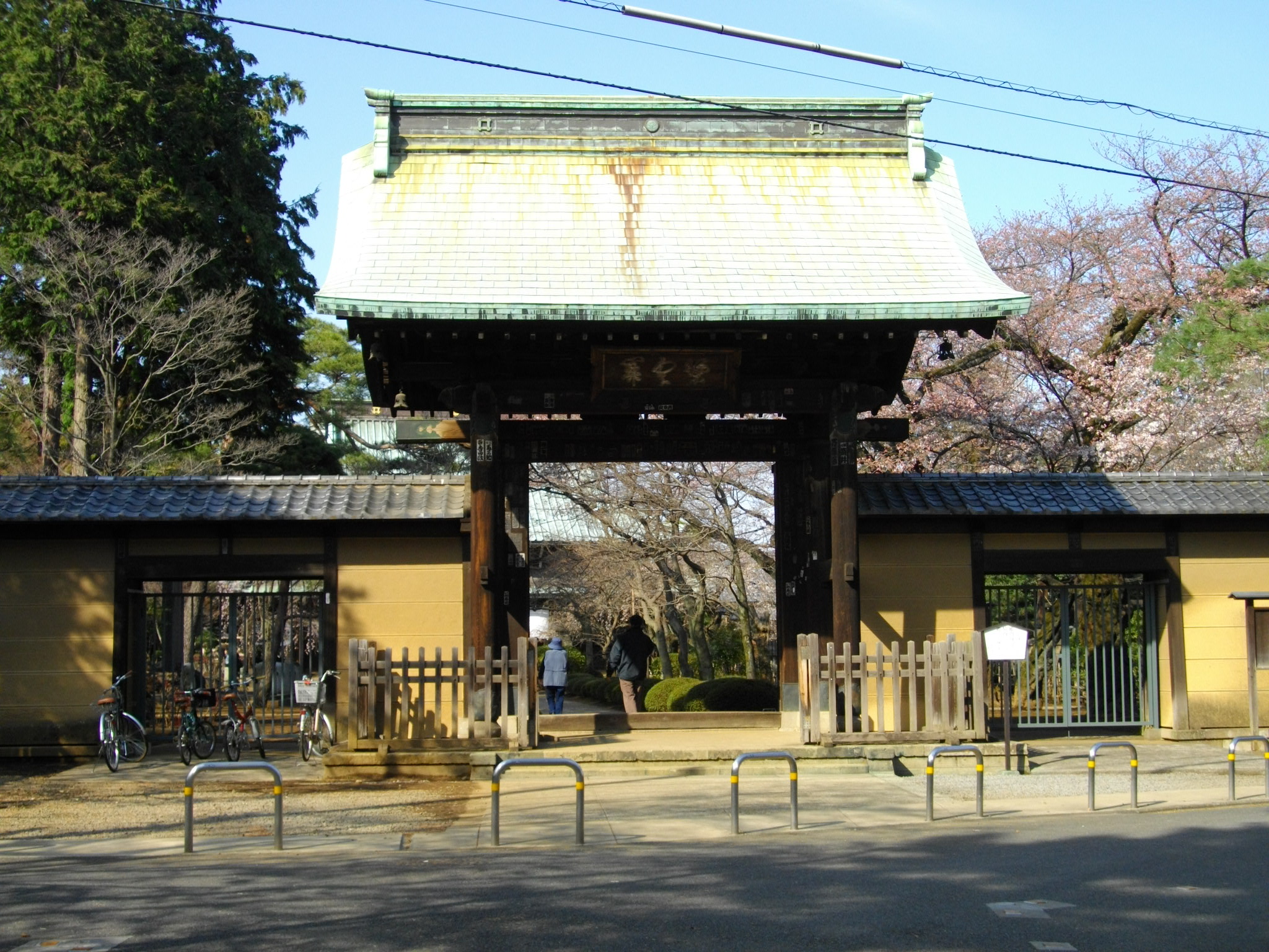 豪徳寺の招福殿に奉納された無数の招き猫
