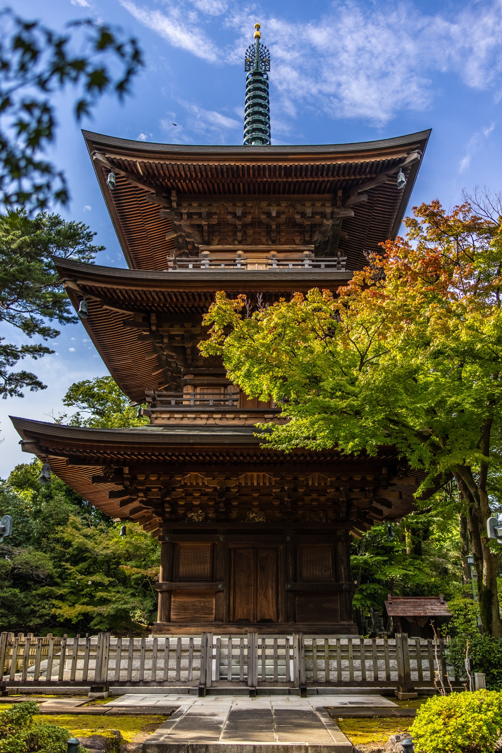 豪徳寺の香炉と紅葉に彩られた境内