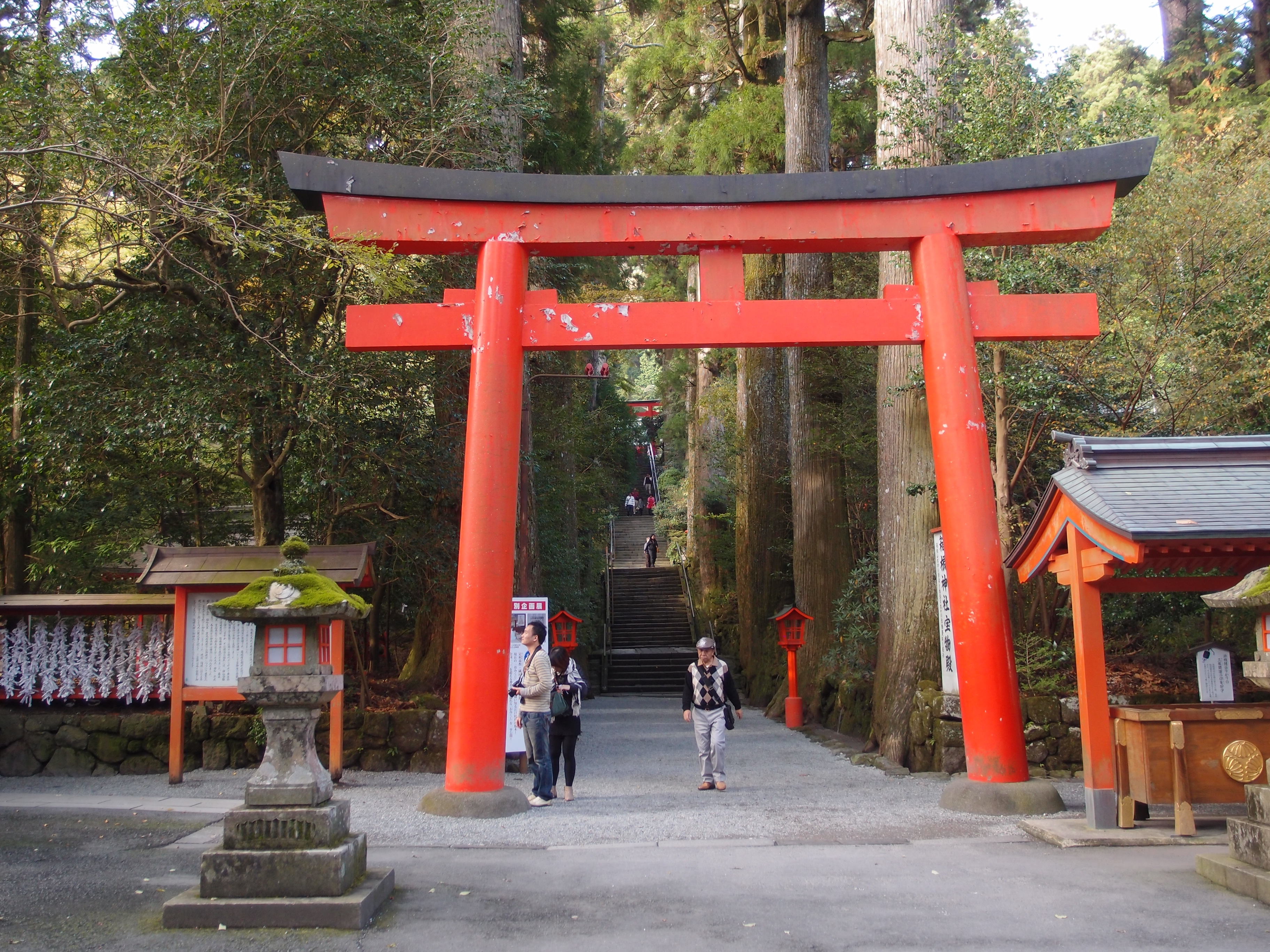 箱根神社の参道入口、大きな朱色の鳥居と杉並木