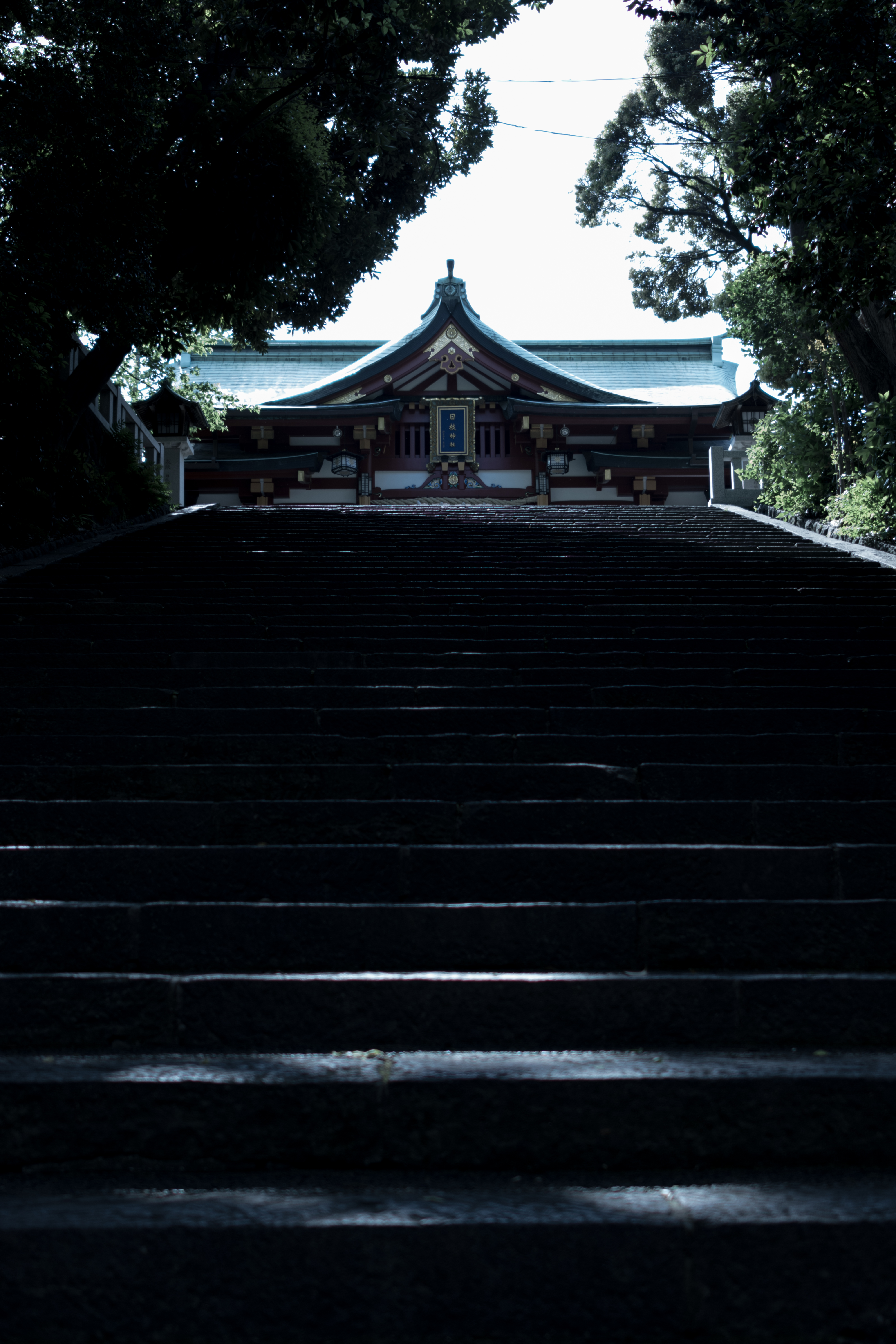 日枝神社の山王男坂の石段と社殿