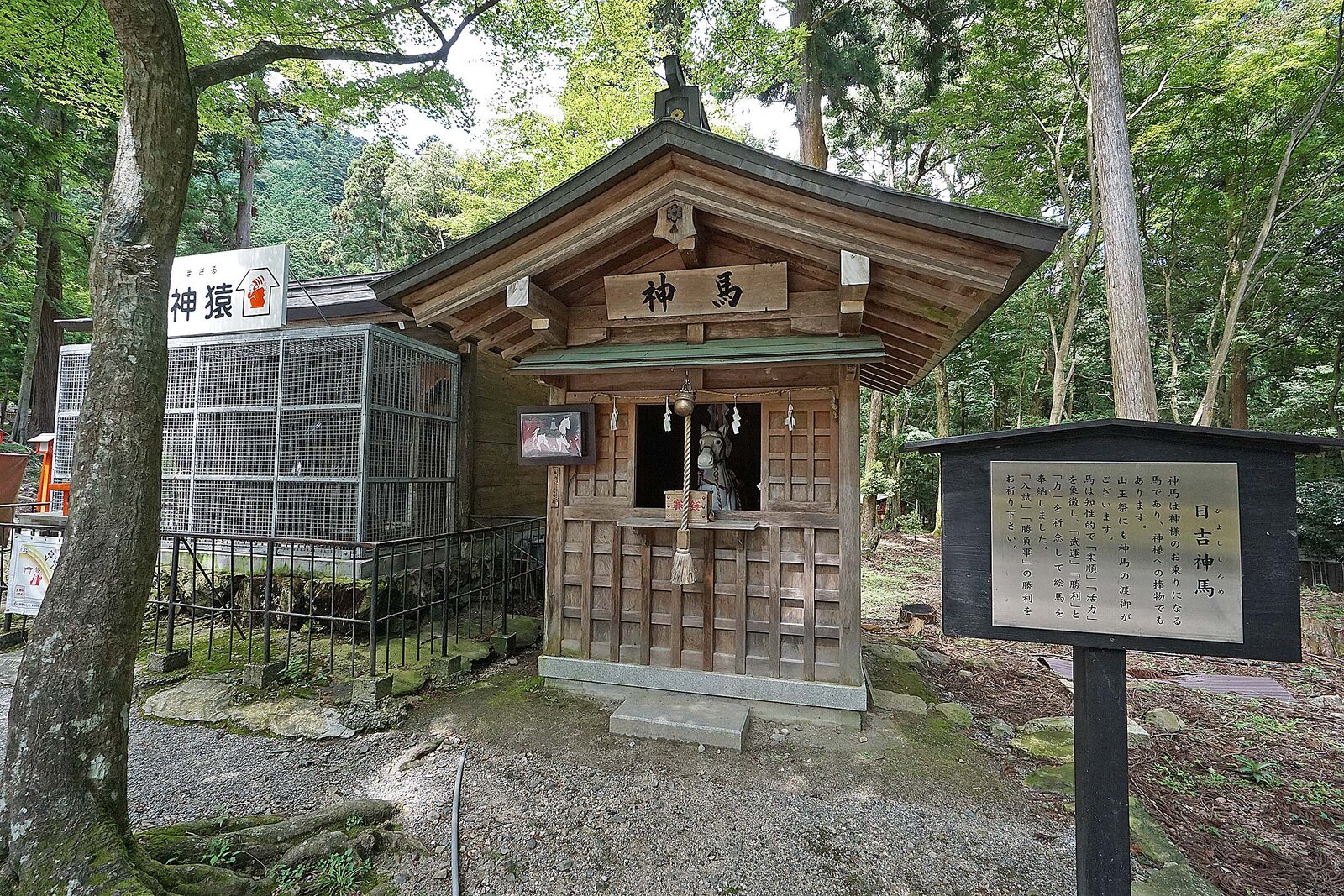 日吉大社 神馬舎